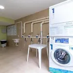 Apto De 1 Dorm - Tucuruvi 1